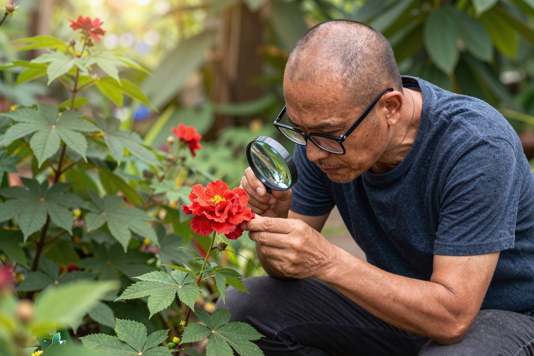 Examining every visual detail