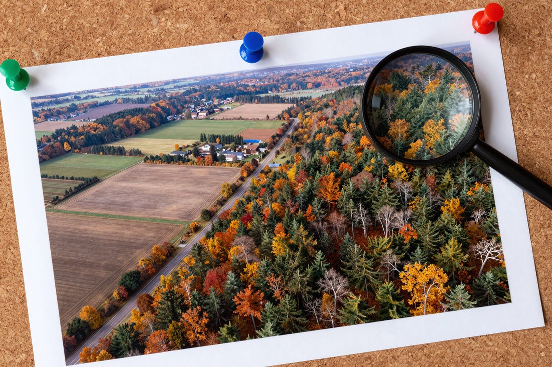 Analyzing visual content